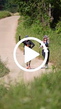 BIB:  <button type="button" onclick="openModal(26787506)" class="btn btn-primary btn-sm float-right" data-toggle="modal" data-target=".modal-high-quality">
                <i class="fa fa-download"></i> Download
                </button>